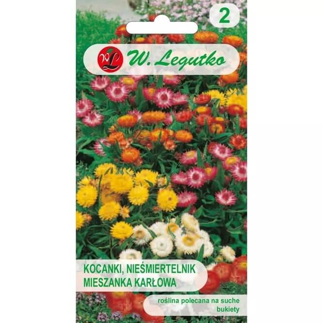 Kocanka karłowa, Nieśmiertelnik, mieszanka (Helichrysum bracteatum) nasiona 0,5g (2).jpg