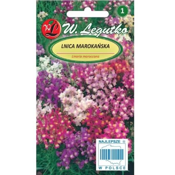 Lnica marokańska, mieszanka (linaria maroccana) nasiona 0,5g (1).jpg