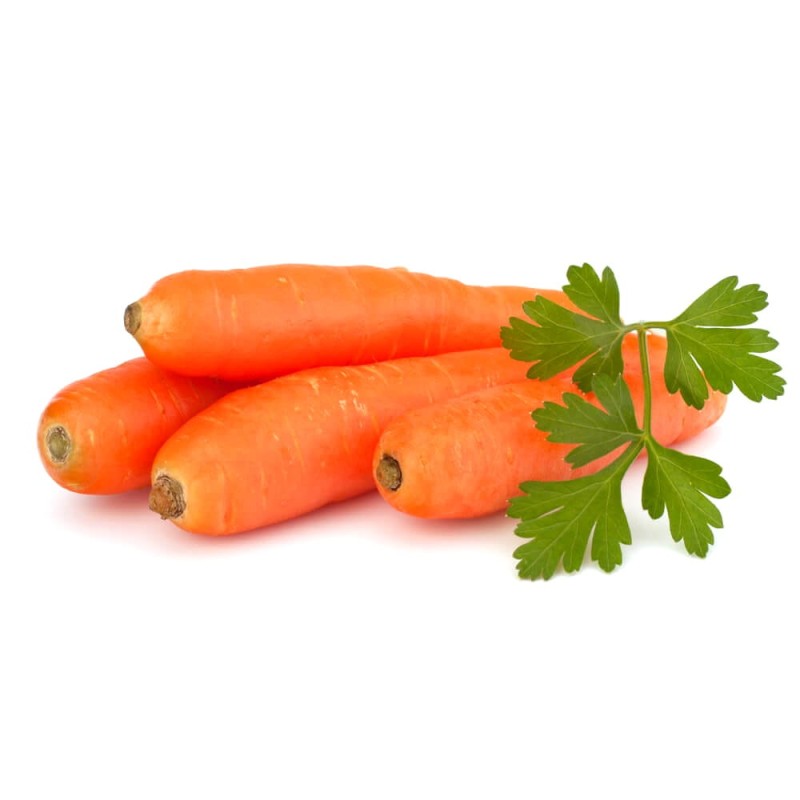 Marchew AMSTERDAM 2 Wczesna XXL 500g nasiona (2).jpg