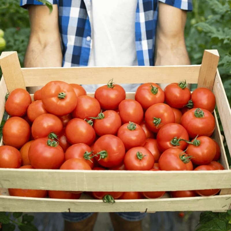 Ekologiczny Nawóz Humvit-eko Uniwersalny 500ml nawozy (3).jpg