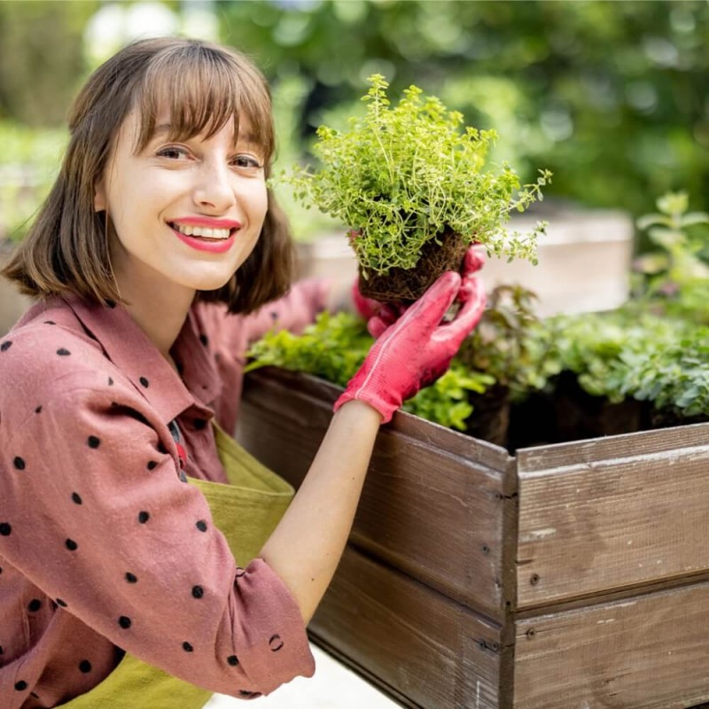 Mata Mieszanka ziół 'Pachnąca kuchnia' na macie 7,5 x 200 cm maty (4).jpg
