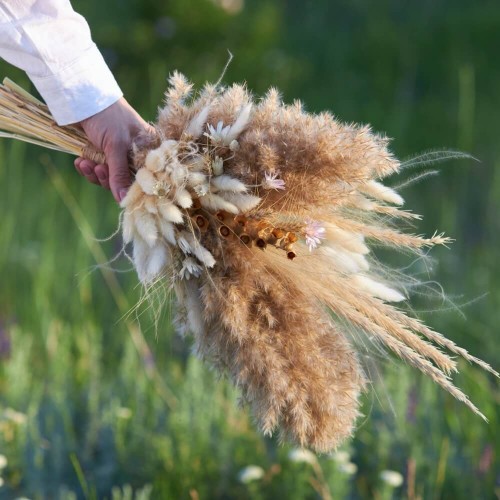 Mieszanka traw na suche bukiety nasiona 2g