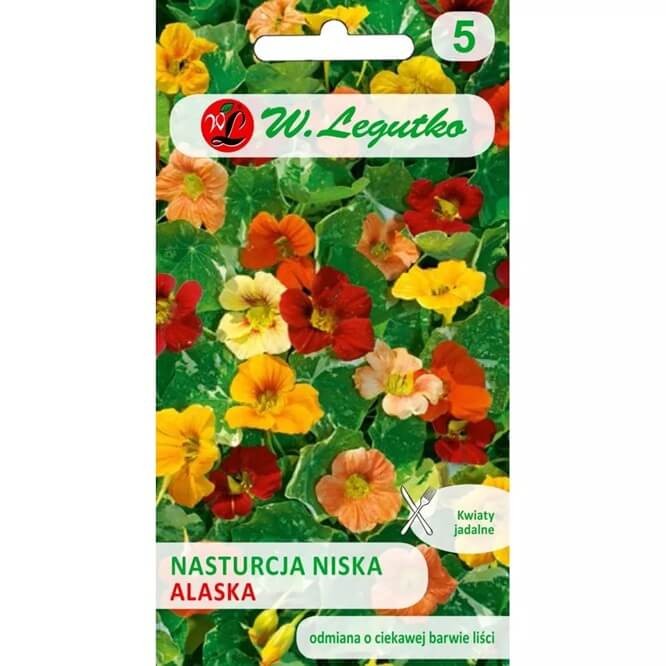Nasturcja niska Alaska, mieszanka (Tropaeolum majus var. nanum) nasiona 3g (3).jpg