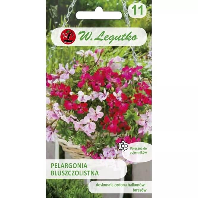 Pelargonia bluszczolistna, Speedy F2, mieszanka (Pelargonium peltatum) 5 nasion (1).jpg
