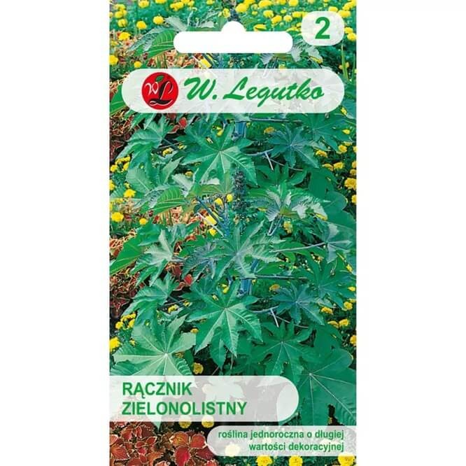 Rącznik zielonolistny (Ricinus Communis) nasiona 6 sztuk.jpg