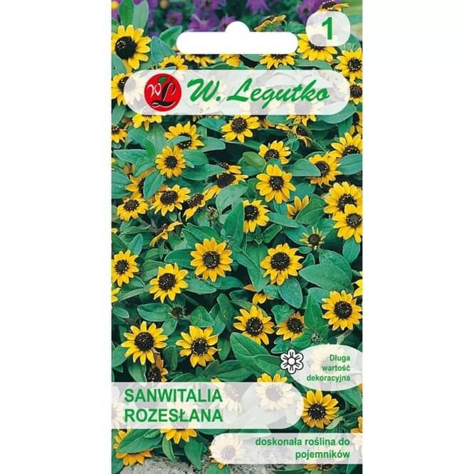 Sanwitalia rozesłana żółta (Sanvitalia procumbens) nasiona 0,3g (1).jpg