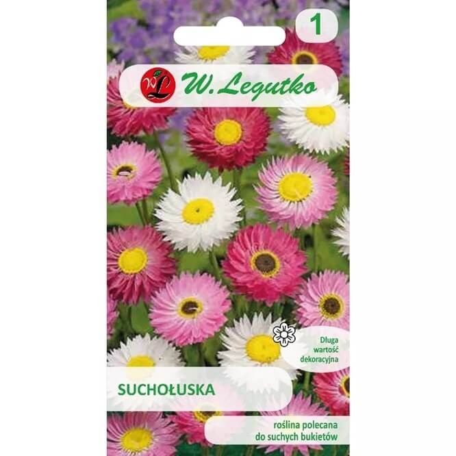 Suchołuska, mieszanka (Helipterum roseum) nasiona 1g (5).jpg