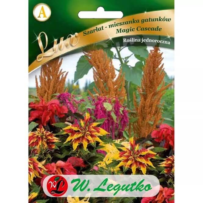 Szarłat, mieszanka gatunków (Amaranthus) 0,5g nasiona LUX (2).jpg