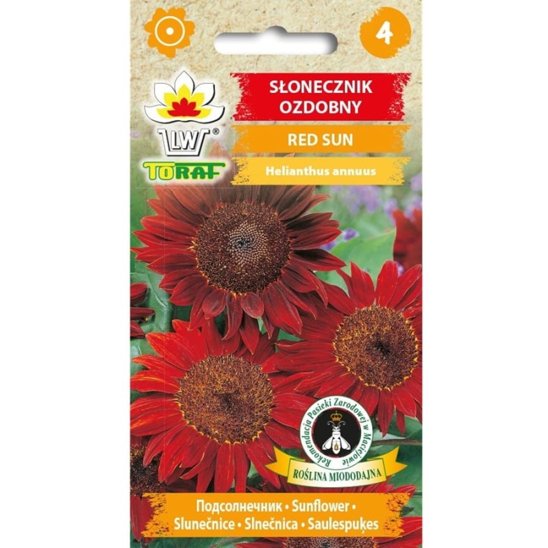 Słonecznik ozdobny (Helianthus annus) Red Sun czerwony 2g (3).jpg