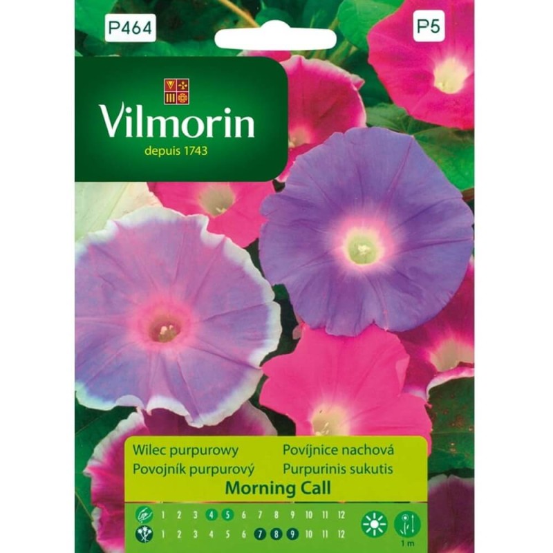 Wilec Purpurowy MORNING CALL (Ipomoea purpurea ) nasiona 1g (3).jpg