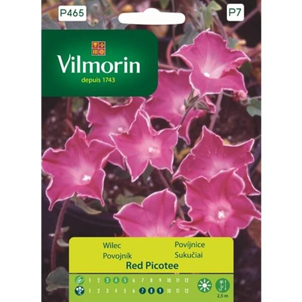 Wilec Red Picotee (Ipomoea) nasiona 1g (2).jpg
