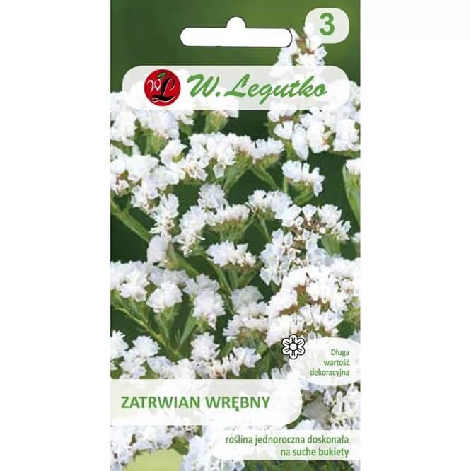 Zatrwian wrębny, biały (Limonium sinutum) nasiona 0,3g (4).jpg