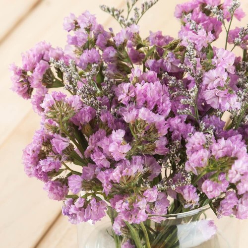 Zatrwian wrębny różowy nasiona 0,3g