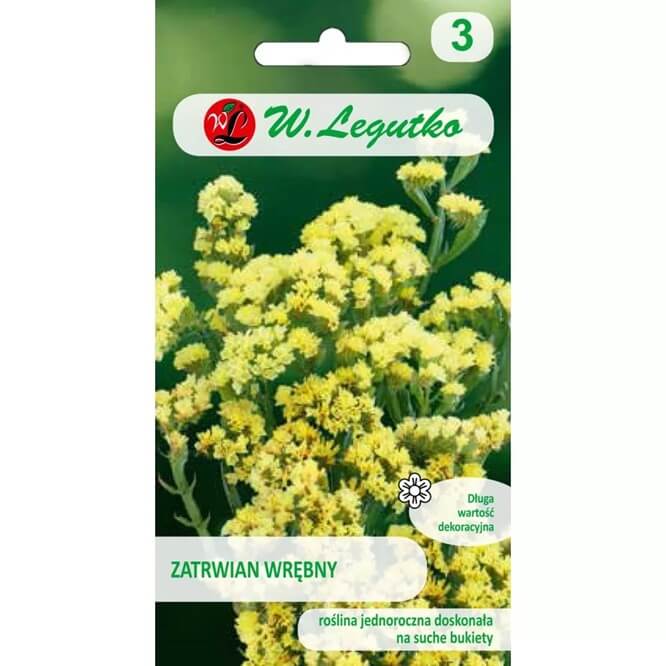 Zatrwian wrębny, żółty (Limonium sinutum) nasiona 0,3g (1).jpg