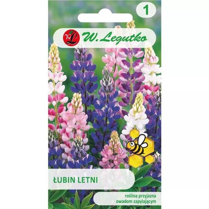 Łubin letni, mieszanka (Lupinus hartwegii) nasiona 3g (1).jpg