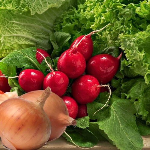 Kolekcja warzyw polska grządka