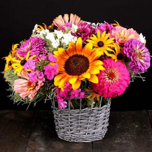 Kolekcja roślin na kwiaty cięte nasiona