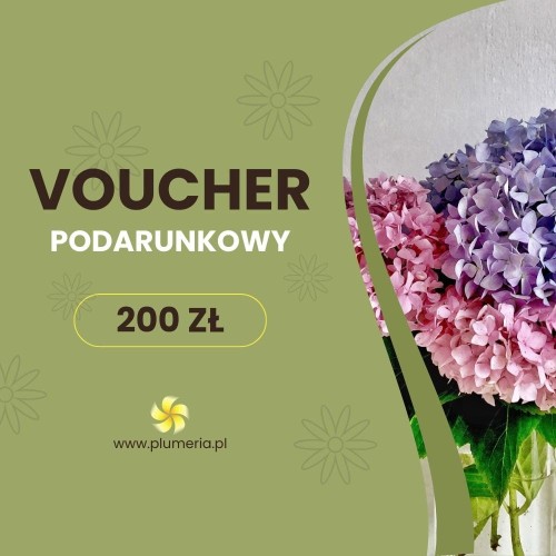 Bon upominkowy dla bliskiej osoby 200zł