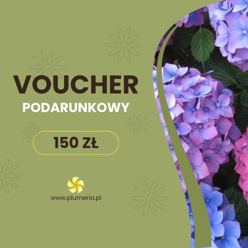 Bon upominkowy dla bliskiej osoby 150zł