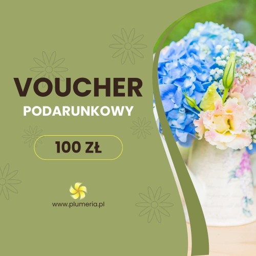 Bon upominkowy dla bliskiej osoby 100zł