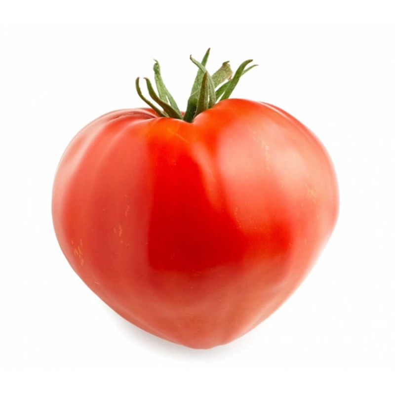 Pomidor OXHEART Bawole Serce nasiona.jpg