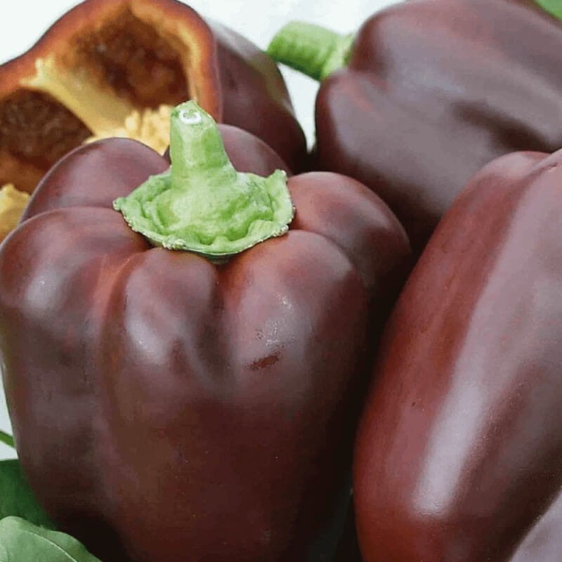 Papryka słodka Sweet Chocolate ( (2).jpg