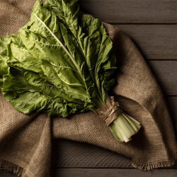 Burak Liściowy Lucullus - Zielonolistny nasiona 3