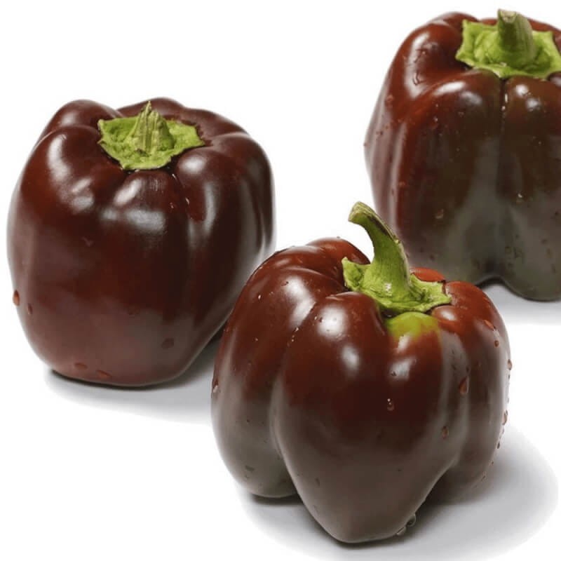 Papryka słodka Sweet Chocolate .jpg