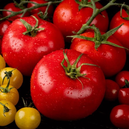 Pomidor FAWORYT Wielkie Owoce nasiona 075g