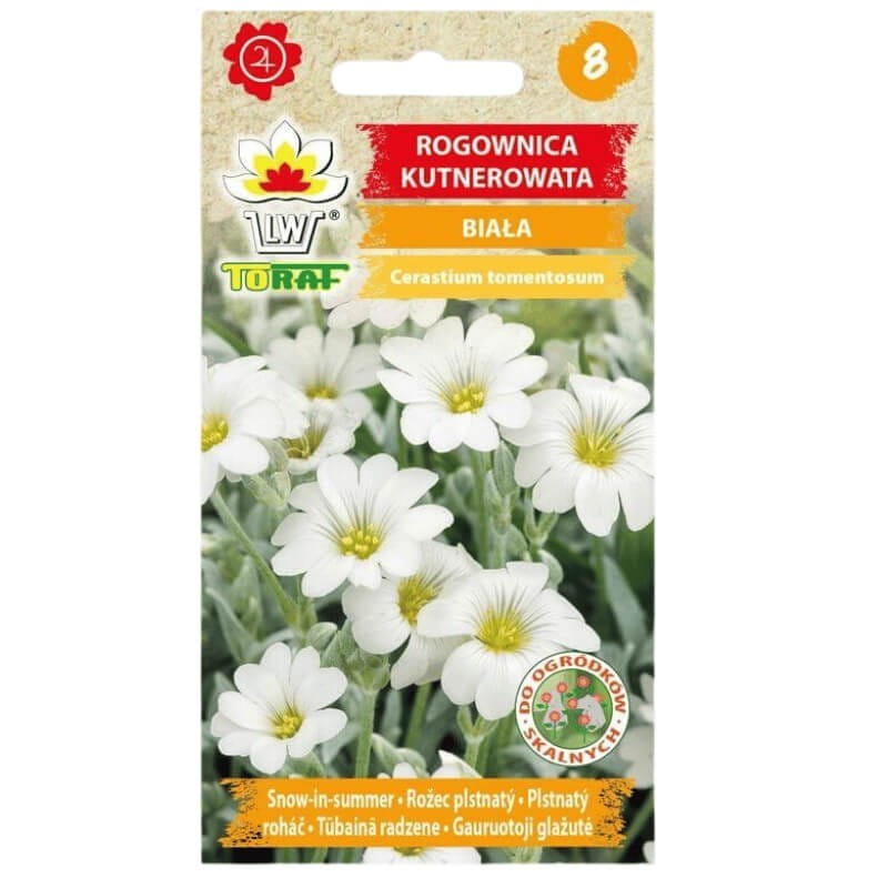 Rogownica kutnerowata biała  nasiona 0,2g (2).jpg