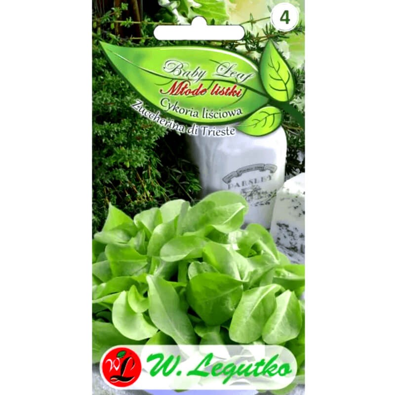 Baby-Leaf-Cykoria-lisciowa-nasiona3 (1).png