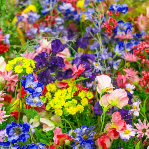 Mieszanka roślin o pachnących kwiatach nasiona 1g