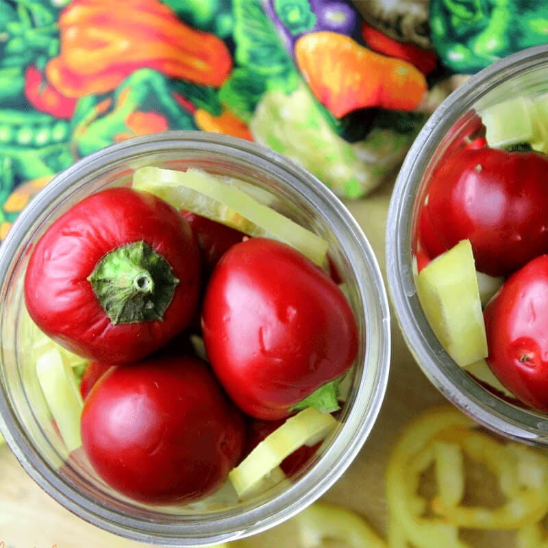 Papryka słodka TopGirl (1).jpg