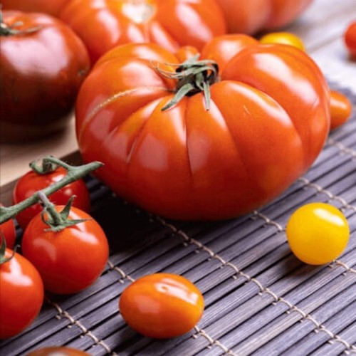 Pomidor MARMANDE nasiona 1g