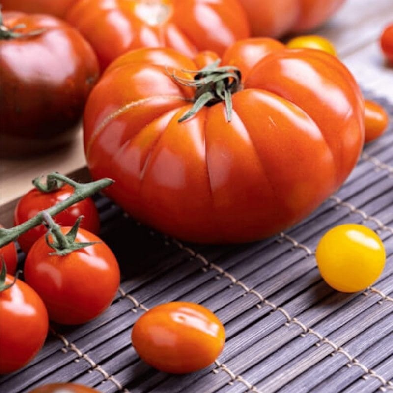 Pomidor MARMANDE nasiona (1).jpg