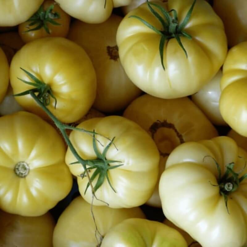Pomidor WHITE BEAUTY gruntowy wysoki nasiona (1).jpg