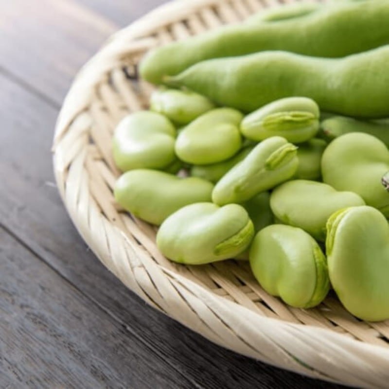 Bób WINDSOR BIAŁY (Vicia faba) nasiona 50g (1).jpg