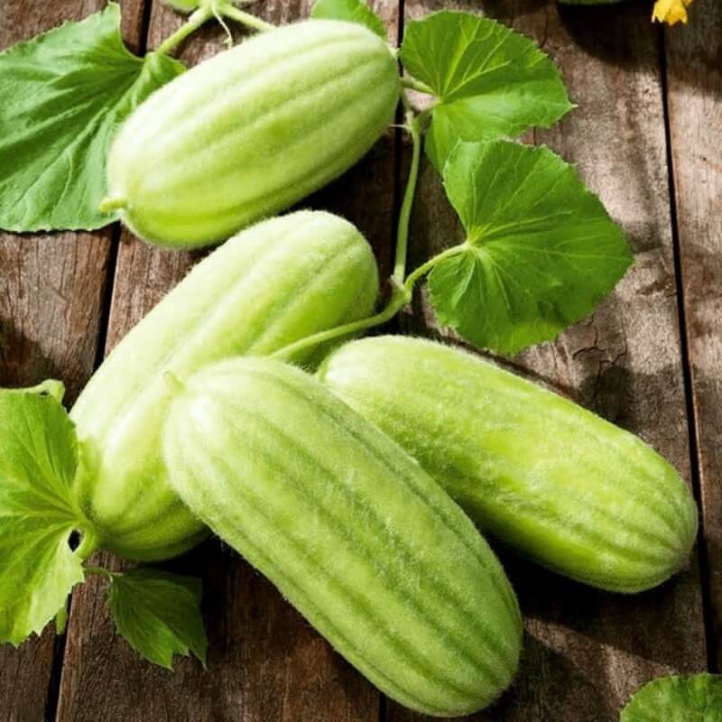 Ogórek melonowy CAROSELLO BARESE  nasiona (1).jpg