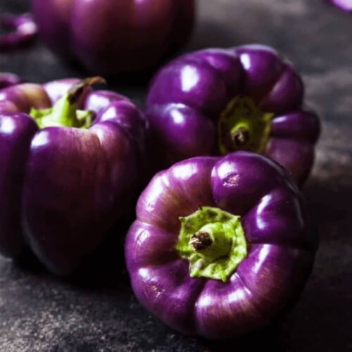 Papryka Fioletowa ODA nasiona 0,5g