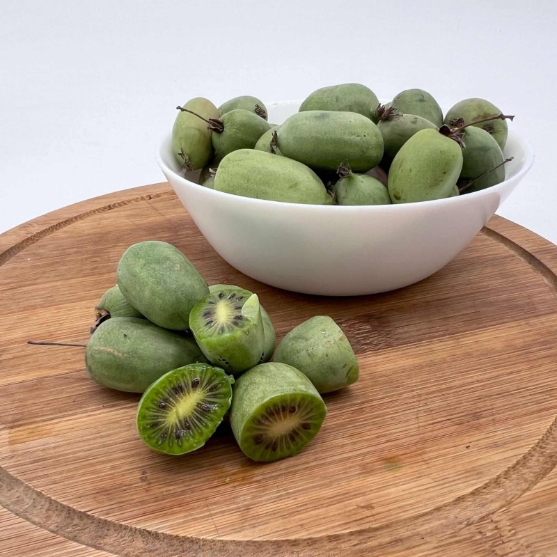 Mini-Kiwi-HOKEY-POKEY-Aktinidia-Ostrolistna-3letnia-Sadzonka-C2-60-80cm-2 (1).jpg