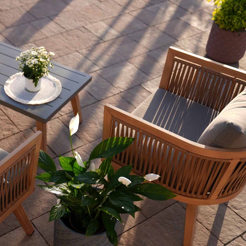 Skrzydłokwiat Pearl Cupido na tarasie