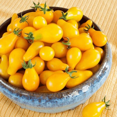 Pomidor-YELLOW-PEARSHAPED-nasiona-1 (2).jpeg