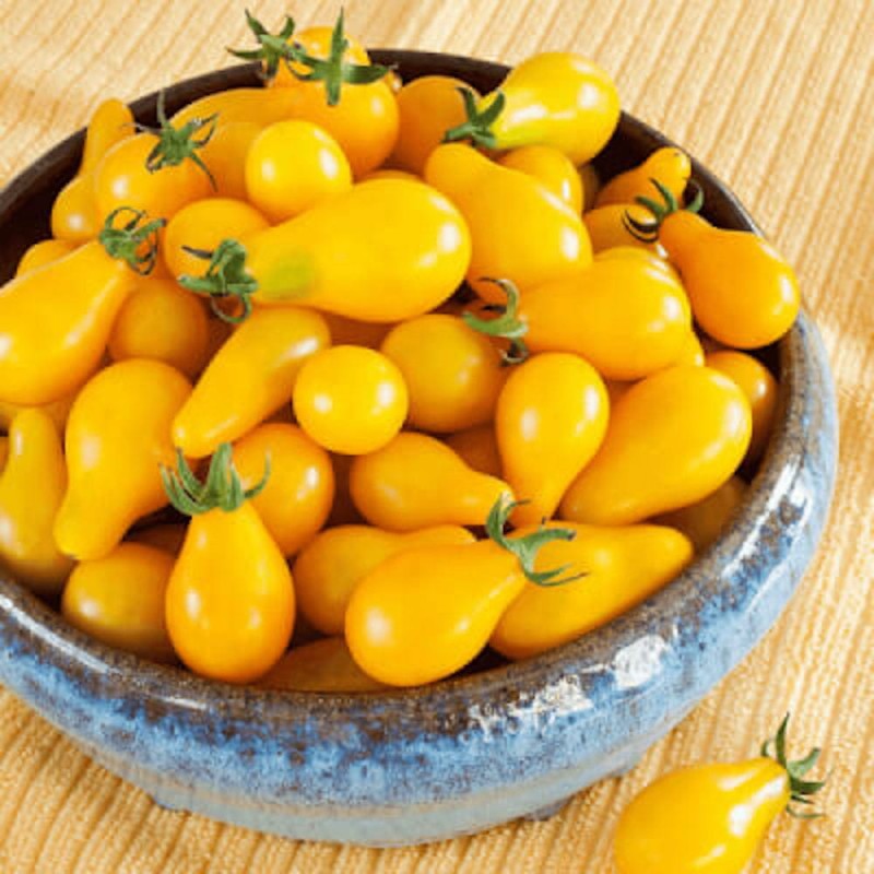 Pomidor-YELLOW-PEARSHAPED-nasiona-1 (2).jpeg