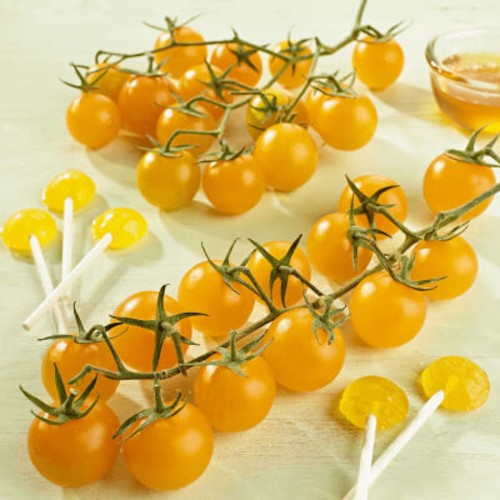 Pomidor FIGIEL gruntowy wysoki nasiona 0,5g