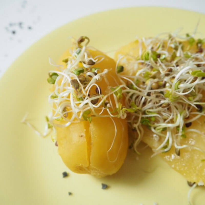 Nasiona na Kiełki - Fenkuł 3.JPG