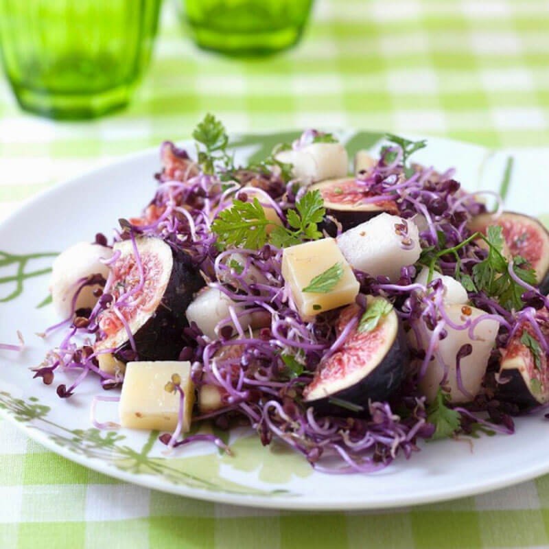 Nasiona na Kiełki - Jarmuż czerwony 2.JPG