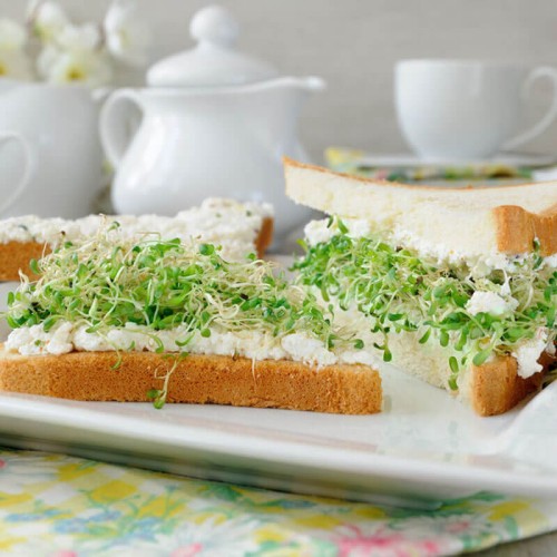 Nasiona na kiełki - Kozieradka - nasiona 20g