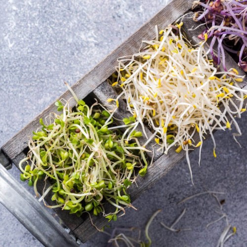 Nasiona na kiełki mieszanka azjatycka nasiona 40g