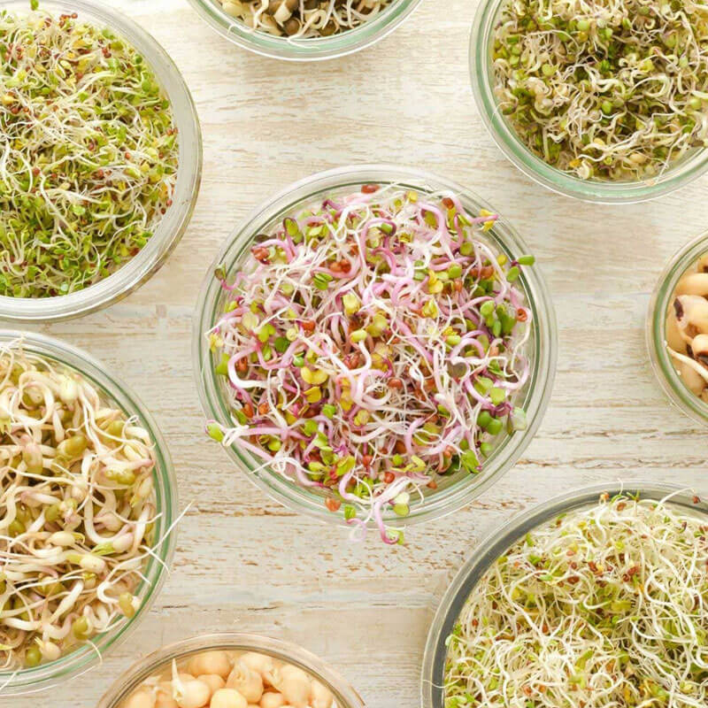 Nasiona na Kiełki - Mieszanka pikantna 2.JPG