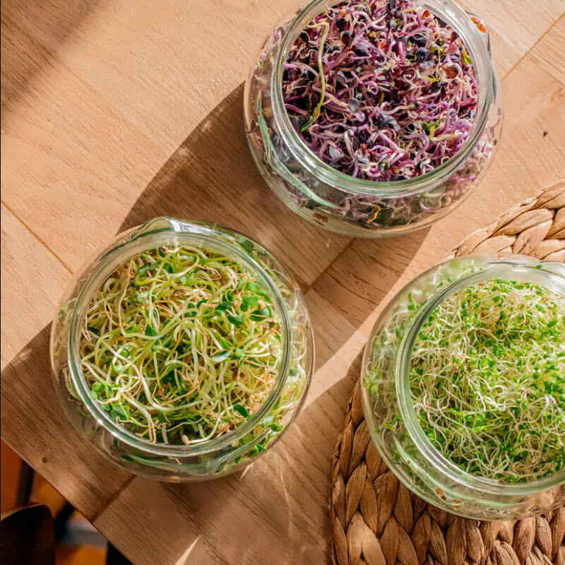 Nasiona na Kiełki - Mieszanka pikantna.JPG